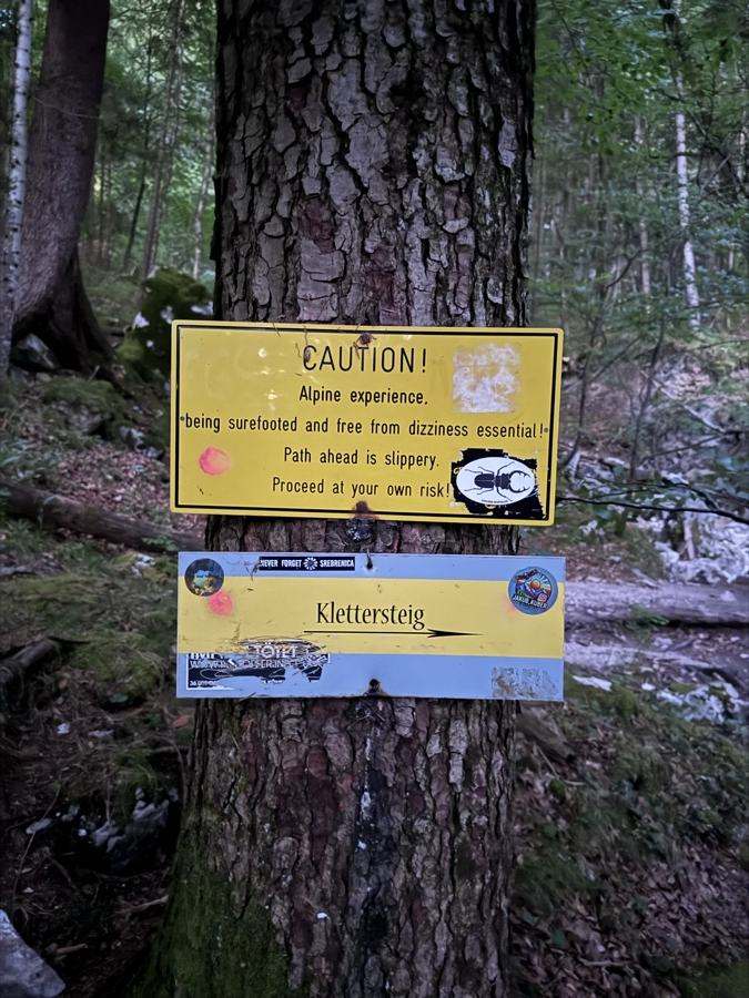 Gelbes Warnschild am Baum: Alpine Erfahrung, Trittsicherheit und Schwindelfreiheit nötig, darunter ein Schild mit der Aufschrift Klettersteig.
