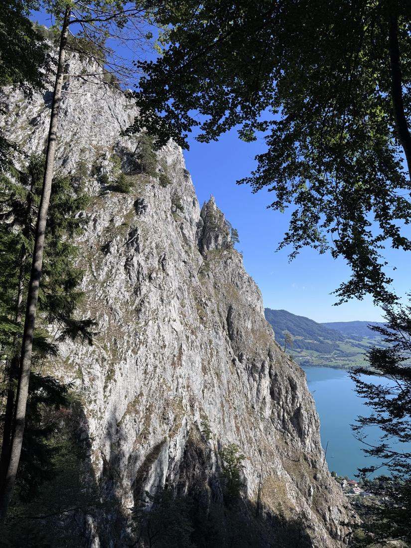 Die helle Felswand der Drachenwand zwischen Bäumen, rechts unten der türkisfarbene Mondsee.