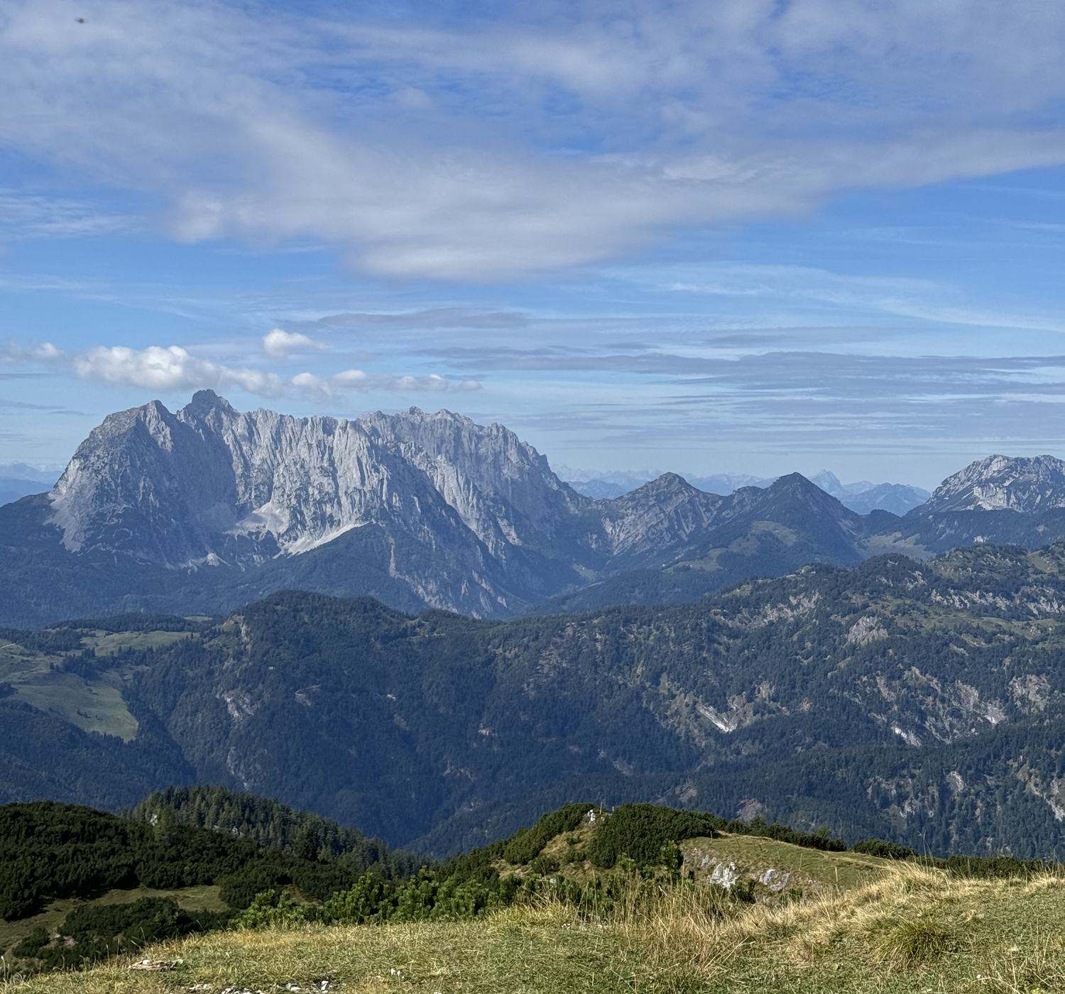 Blick vom Fellhorn auf den Wilden Kaiser: helle Felswände unter blauem Himmel, davor bewaldete Rücken und Bergwiesen.