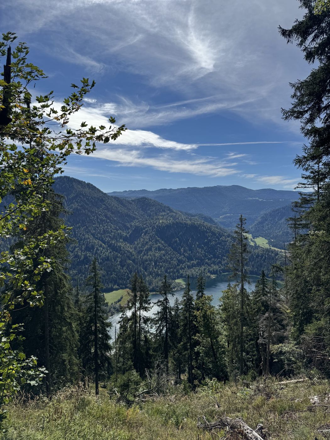Blick im Abstieg durch Laub hindurch auf den Weitsee tief unten im Tal.