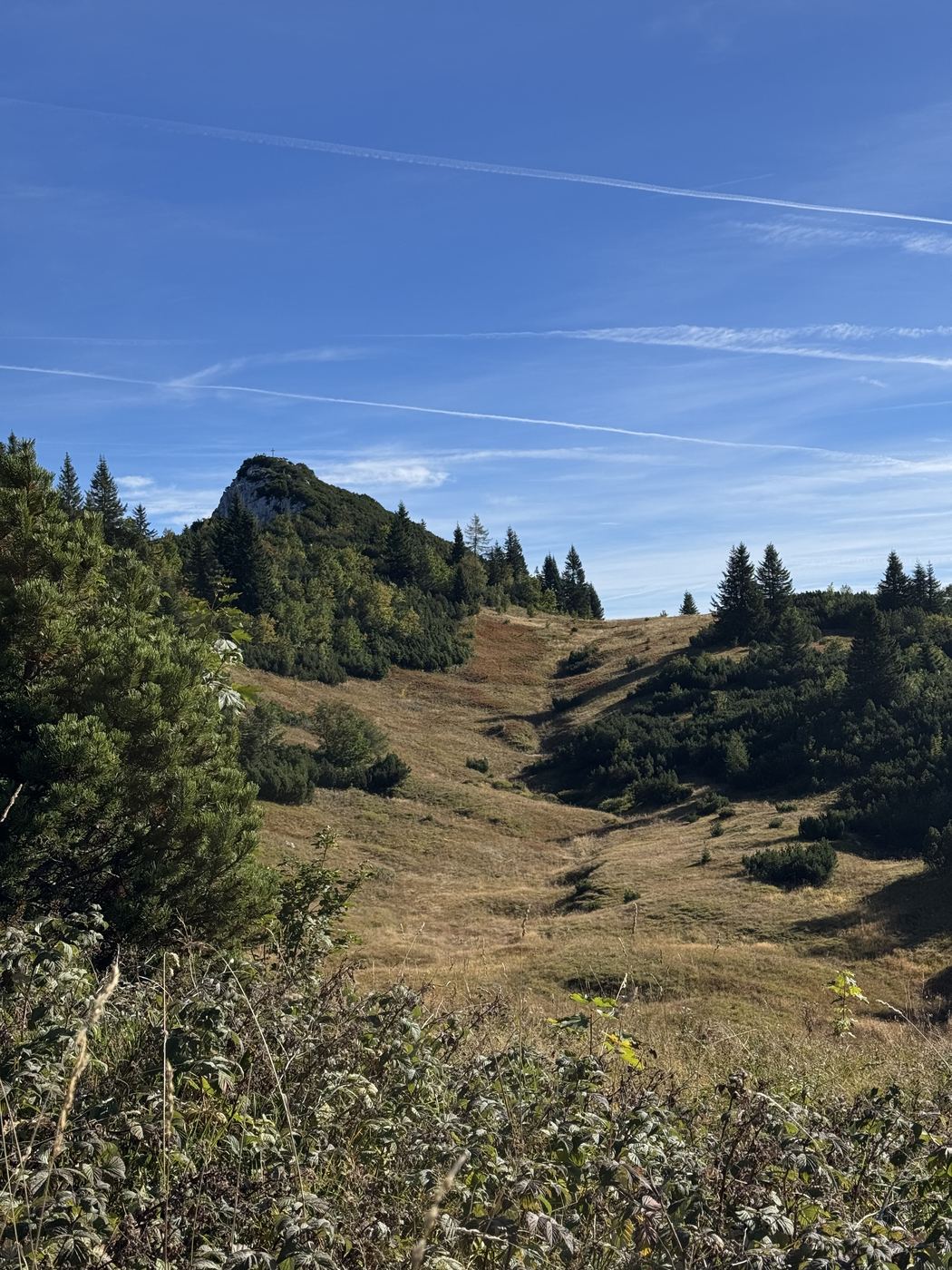 Weite Wiesenhochfläche mit Latschen, dahinter der felsige Gipfelaufbau.