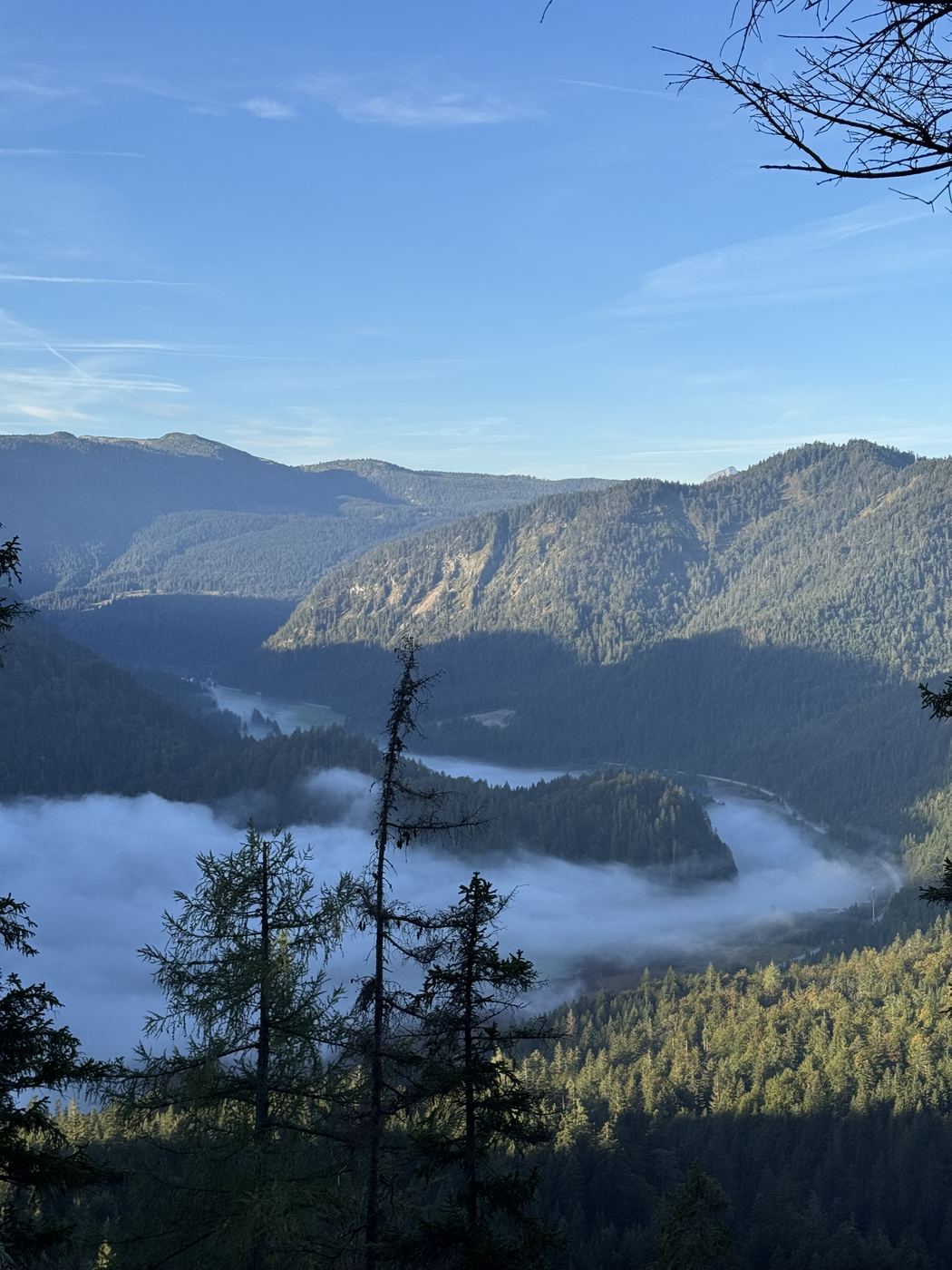 Nebelbänke ziehen zwischen bewaldeten Rücken hindurch, dahinter gestaffelte Berge.