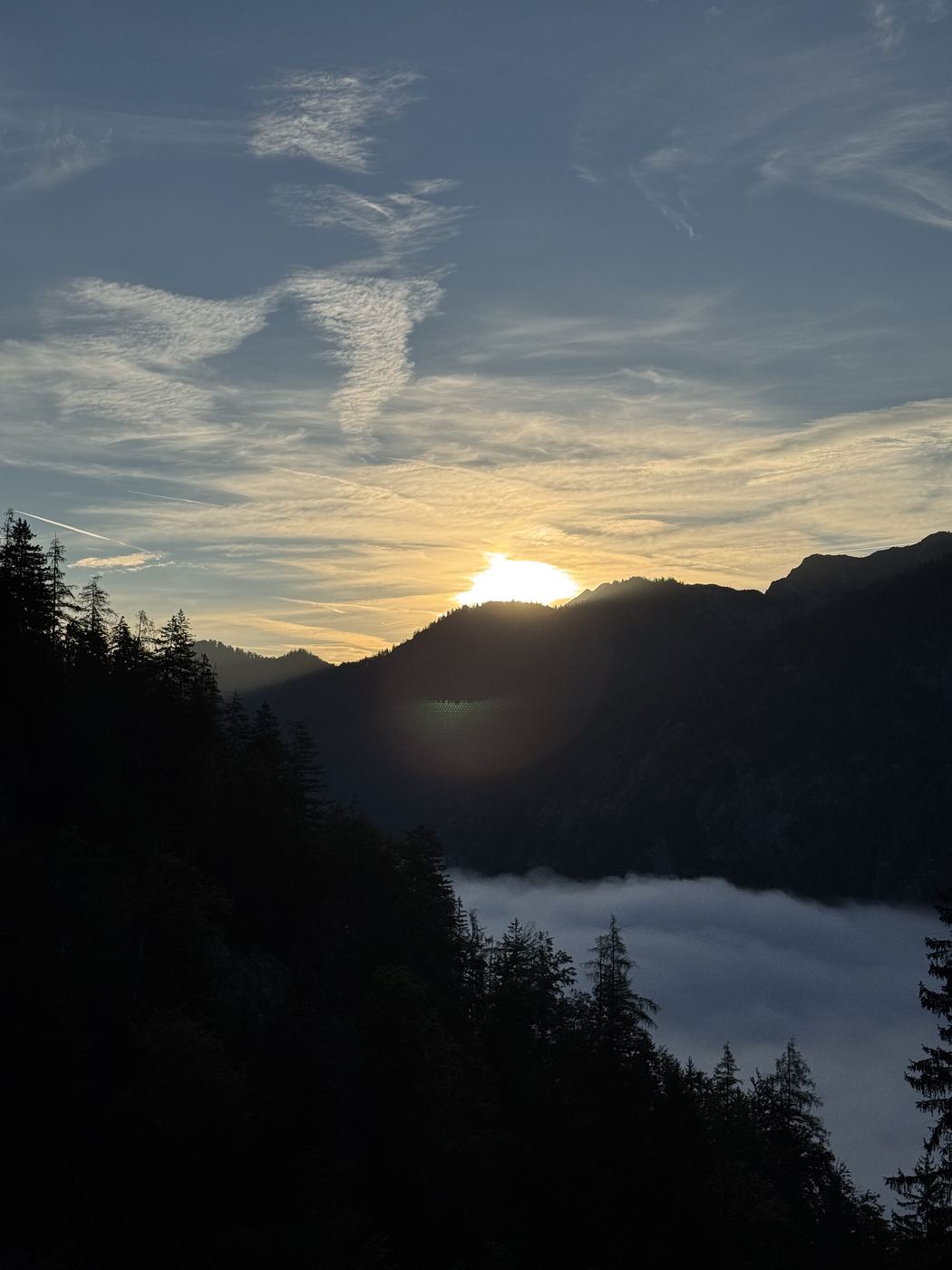 Die Sonne kommt hinter einem bewaldeten Grat hoch, darunter liegt geschlossene Nebeldecke.