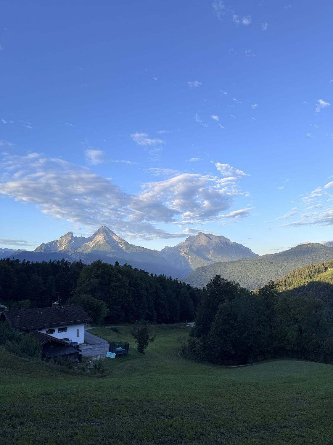 Der Watzmann im ersten Morgenlicht unter blauem Himmel, davor Wiesen und Wald.