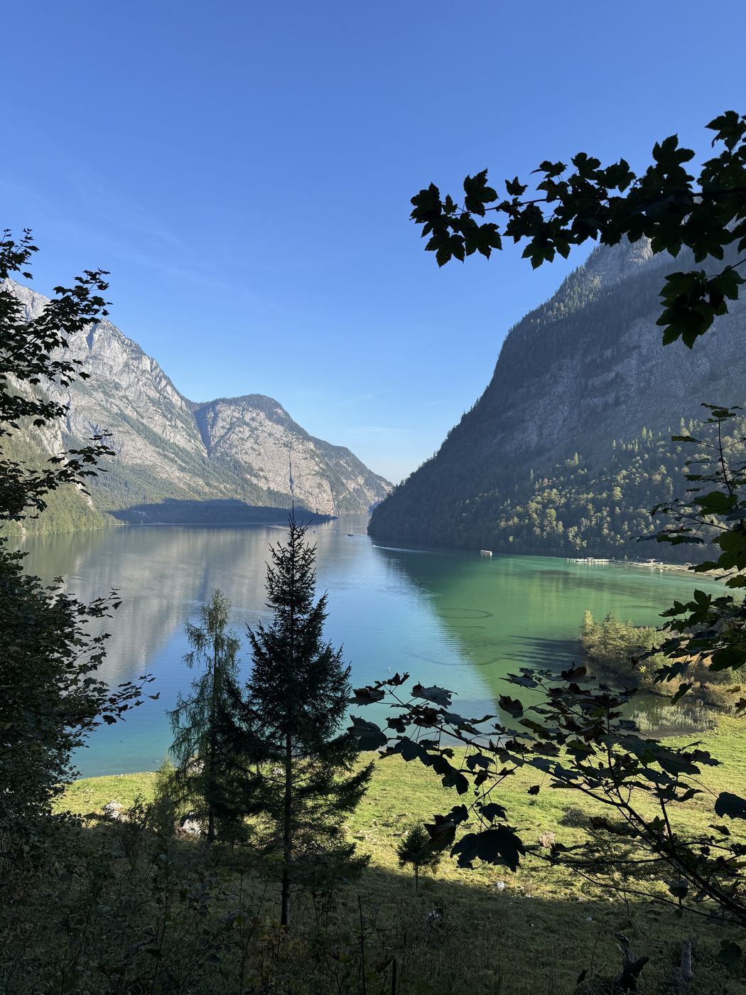 Zwischen Laub und Fichten hindurch auf den grünblauen Königssee, dahinter die Felswände.