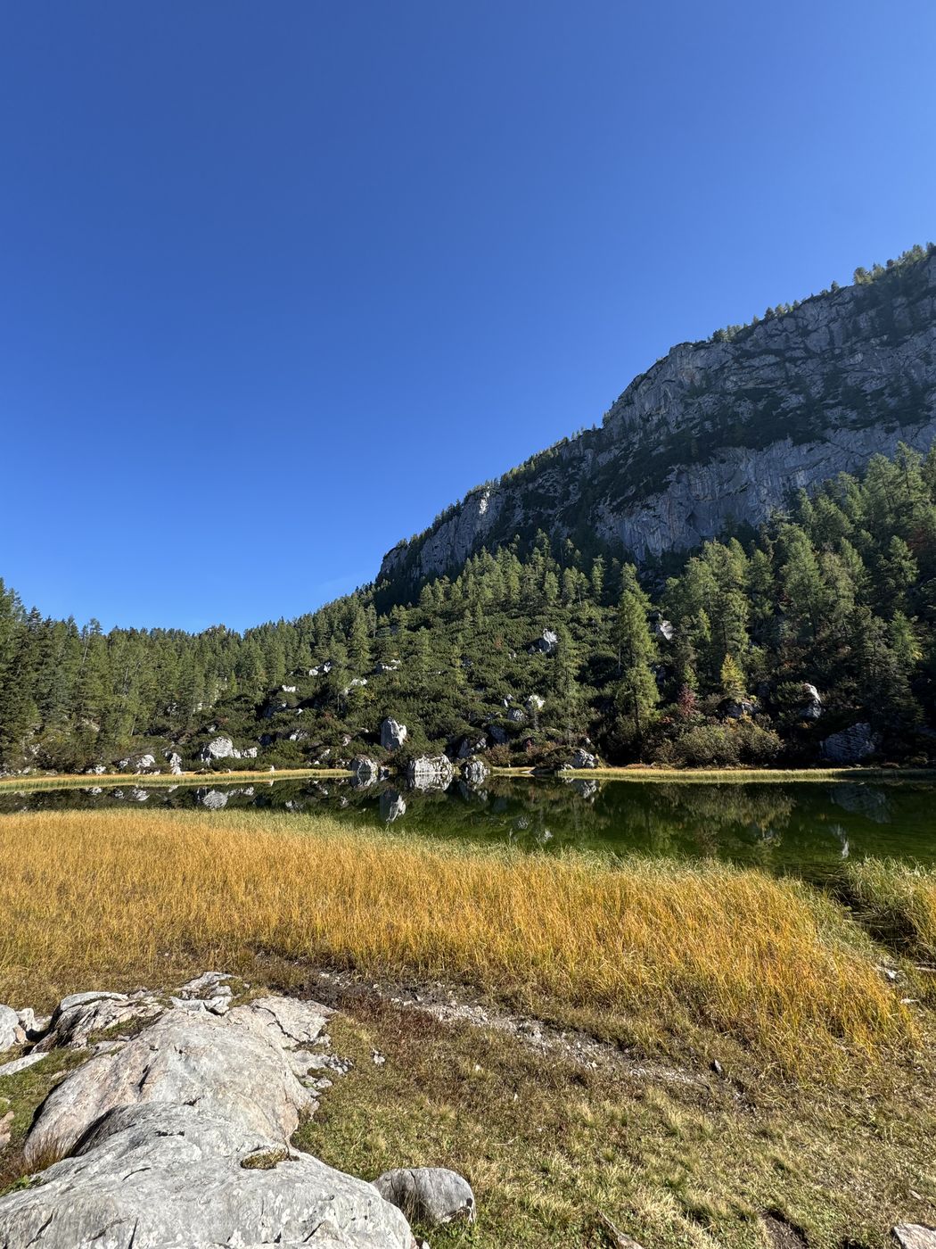 Der Schwarzensee mit goldenem Ufergras und hellen Kalkblöcken, dahinter Wald und eine Felswand.