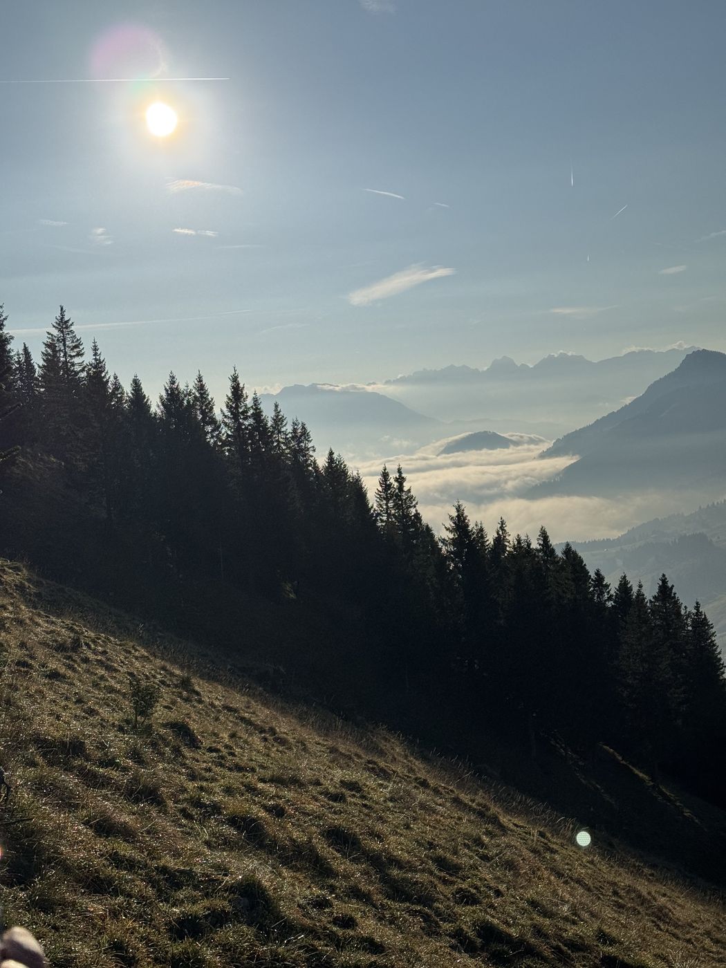 Steile Bergwiese im Gegenlicht, Fichtenwald am Hang, im Tal liegt Nebel zwischen den Bergen.